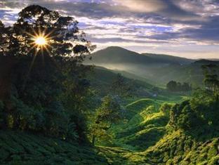 Holiday Accommodation Cameron Highlands